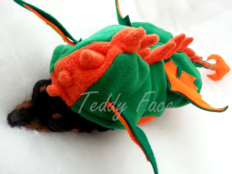 Small Dog Clothes Dog costume Dog Dragon halloween costume Etsy
