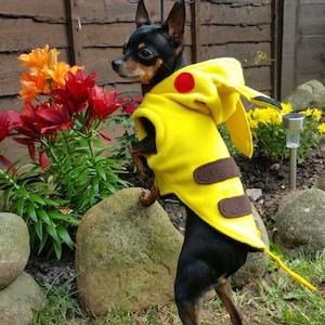 Small Dog Clothes pocket monster Costume