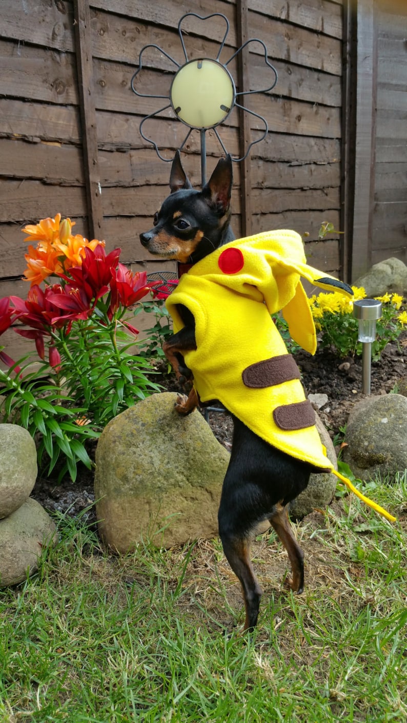 May include: A small black and tan dog wearing a bright yellow fleece hoodie with a hood featuring long yellow ears, a red circular cheek patch, and two horizontal brown stripes on the back, standing on its hind legs near a garden rock.
