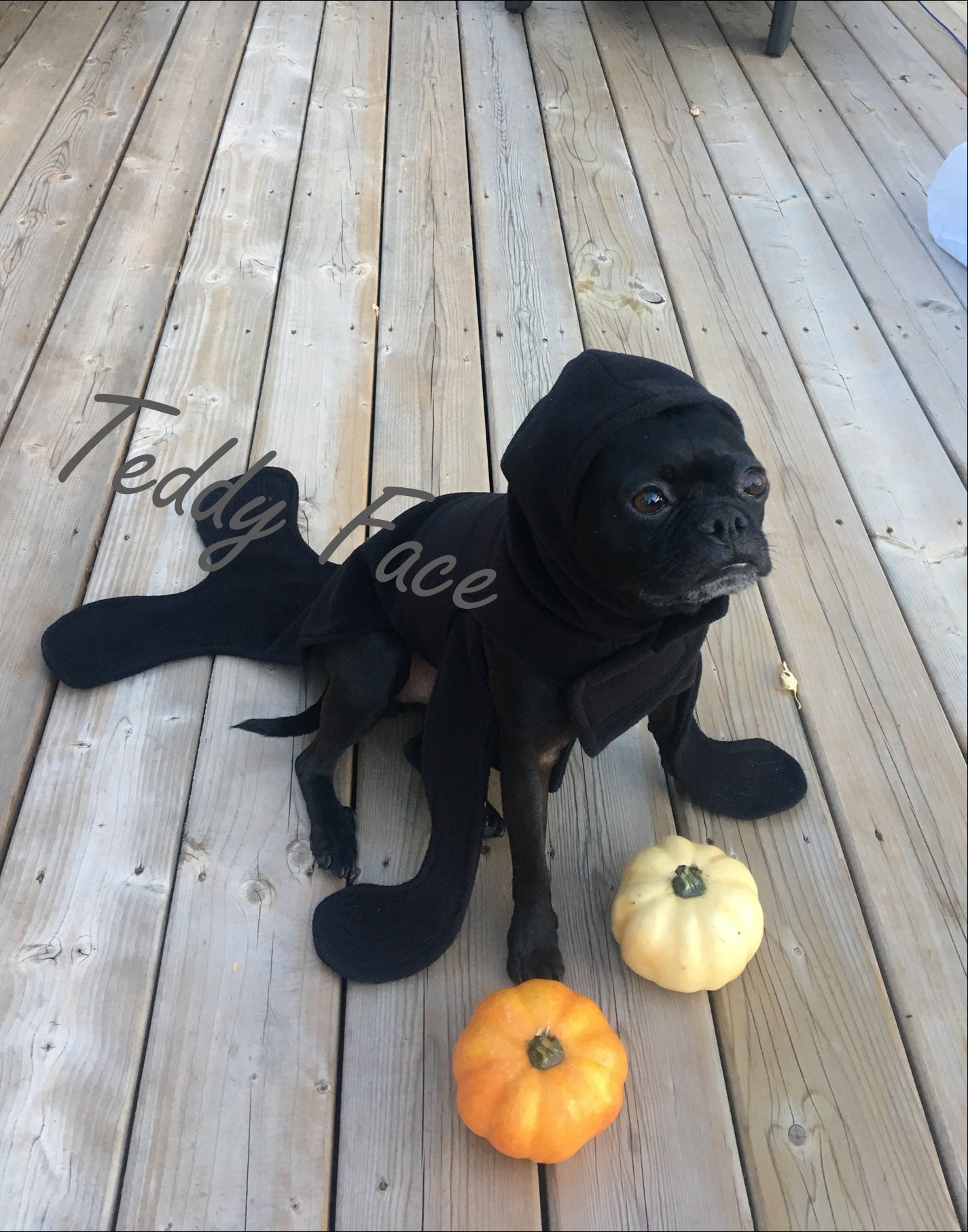 Dog outlet seal costume