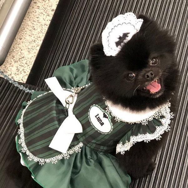 Small dog dress, Maid dress, The Haunted Mansion,Disney Chihuahua dress T - cup puppy Yorkie coat Halloween dress
