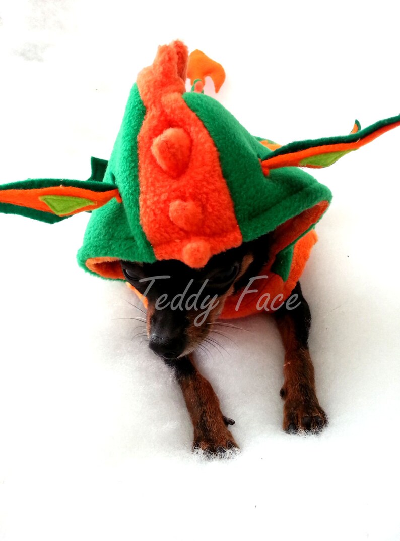 Small Dog Clothes Dog costume Dog Dragon halloween costume Etsy