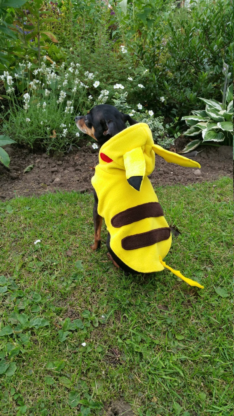 May include: A bright yellow fleece pet costume featuring a hood with long pointed ears, black ear tips, and red circular cheek patches. The back of the garment displays two horizontal dark brown stripes and a long yellow tail with a lightning bolt shape.