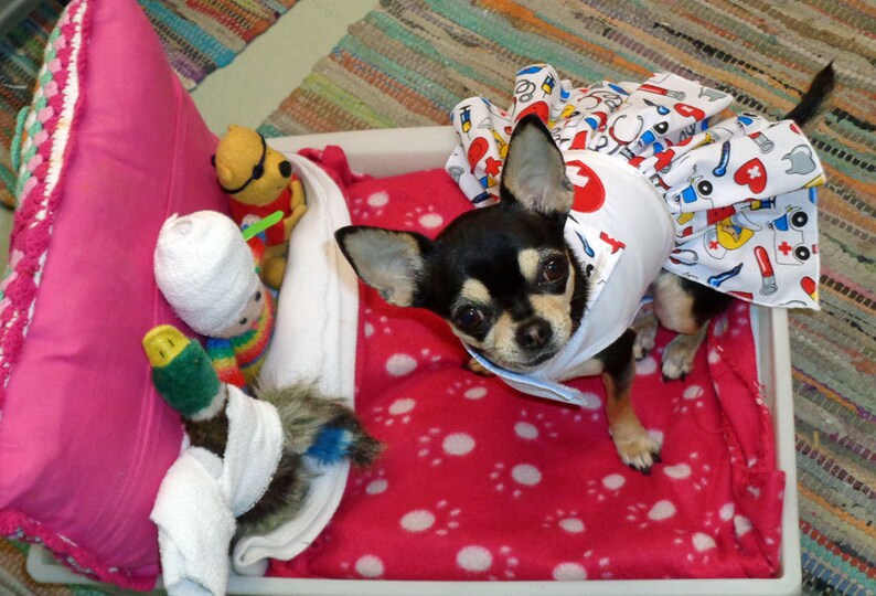 Small Dog clothing Nurse costume Doctor dress Chihuahua Etsy