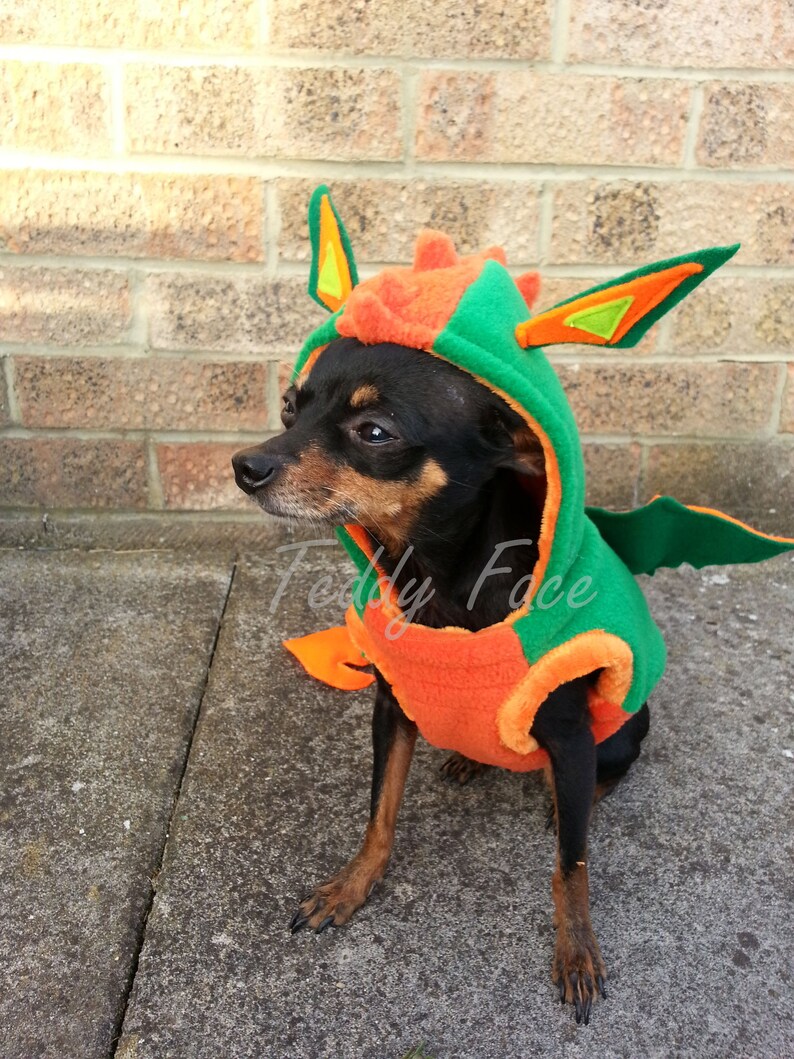Small Dog Clothes Dog costume Dog Dragon halloween costume Etsy
