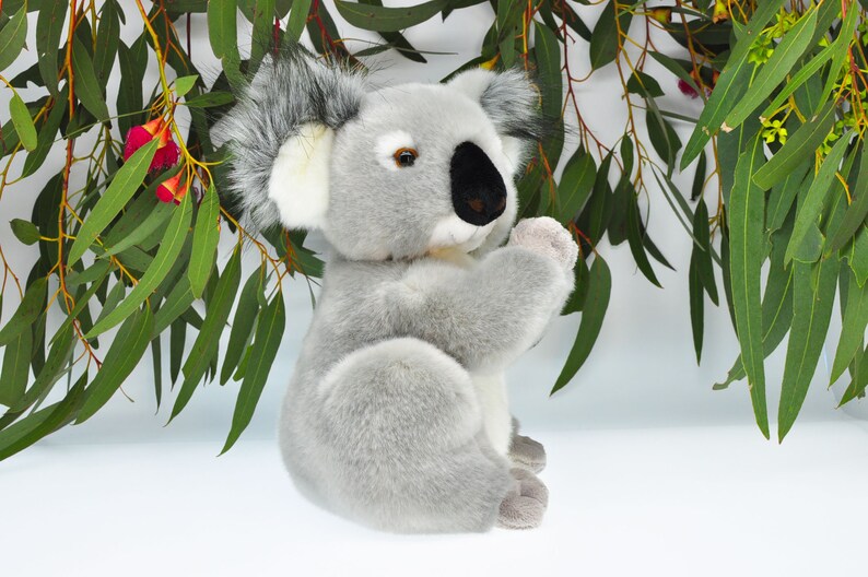 stofftier koala