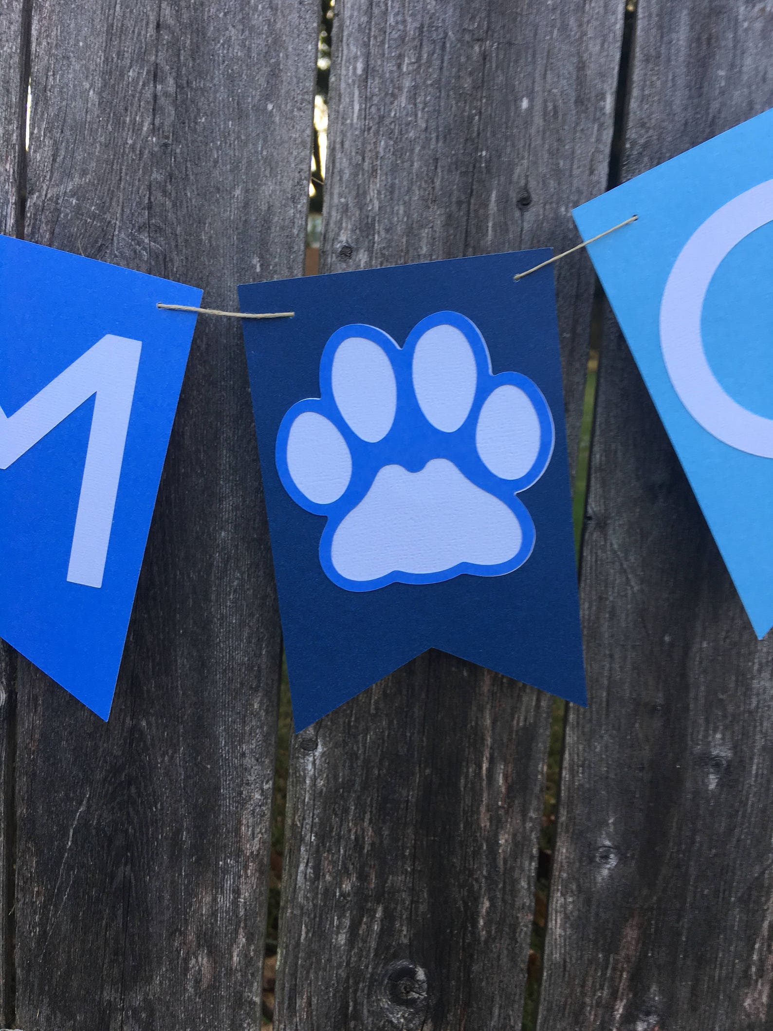 Paw Patrol 1st Birthday Puppy 1st Birthday Party Pet | Etsy