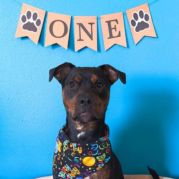 Puppy Party, Puppy Birthday Party, Dog Birthday, Puppy Party Decorations, Boy Puppy Birthday. Il_570xn