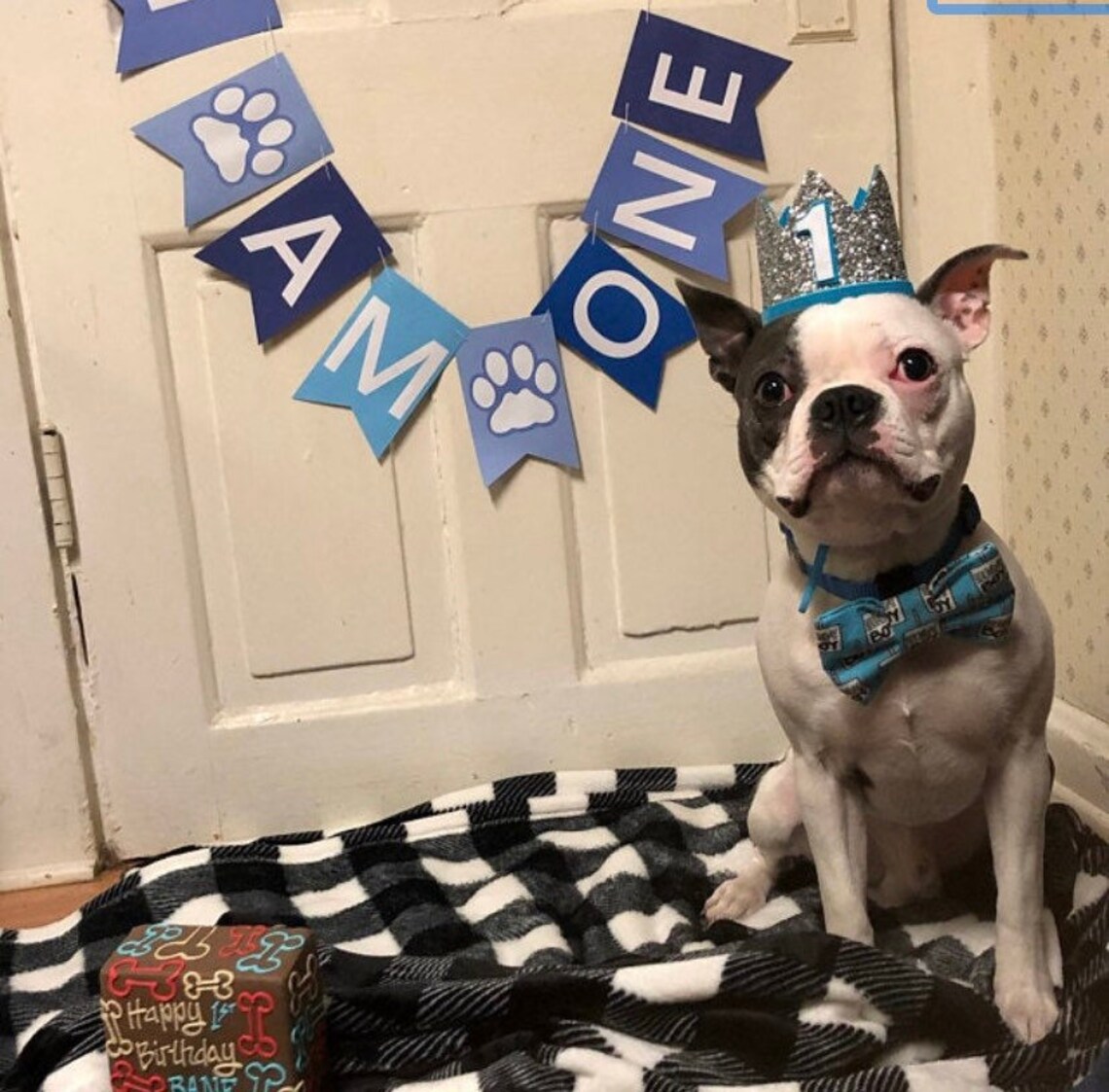 Paw Patrol 1st Birthday Puppy 1st Birthday Party Pet | Etsy