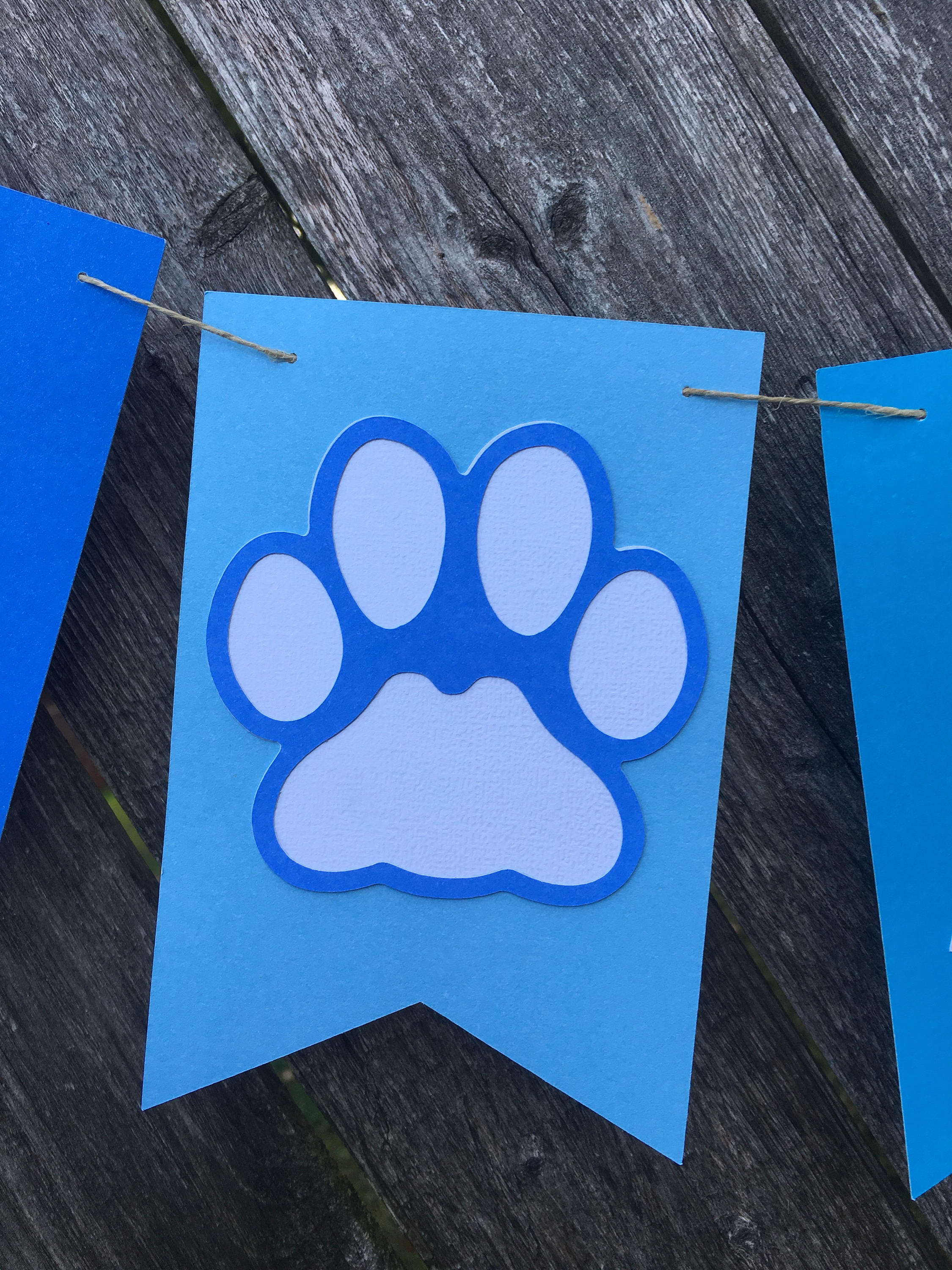 Paw Patrol 1st Birthday Puppy 1st Birthday Party Pet | Etsy