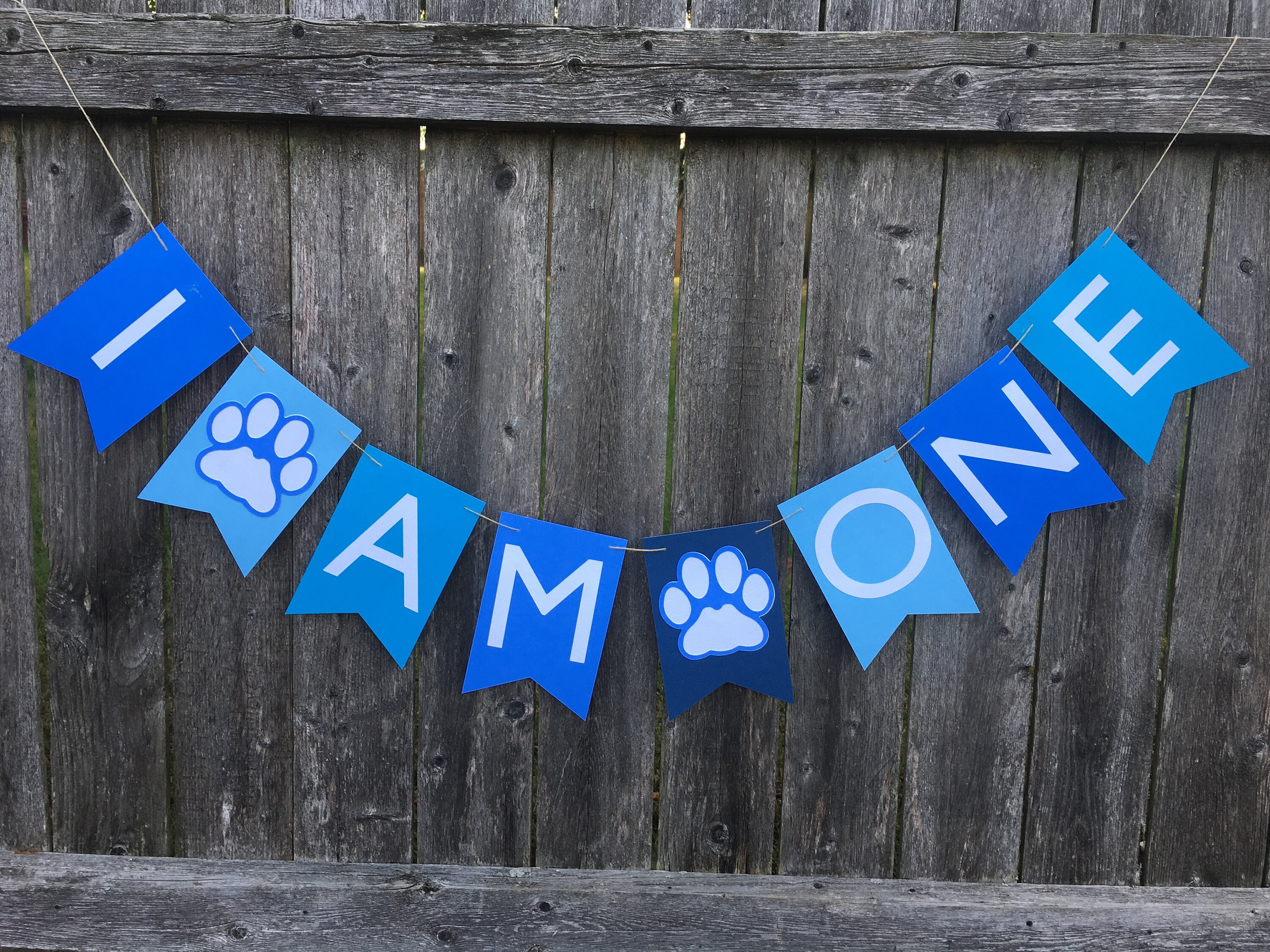 Paw Patrol 1st Birthday Puppy 1st Birthday Party Pet | Etsy