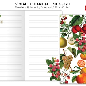 Vintage Fruits JOURNALING BUNDLE SET Standard Traveler's Notebook Printable Insert - Botanicals, Art Journal, Junk Journal