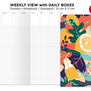 A6 Planner Inserts, A6 Inserts, A6 Weekly Insert Printable, Weekly  Printable Inserts, Nolty Planner Style A6 Size, A6 Printable, Foxy Fix A6 