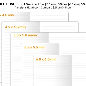 May include: A set of five lined notebooks with different line spacing sizes, ranging from 4.0 mm to 6.0 mm. The notebooks are labeled with the line spacing size in millimeters. The notebooks are all the same size, 21 cm by 11 cm. The notebooks are labeled "Standard or Regular".