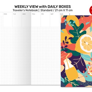 Pode incluir: Um planejador semanal com caixas diárias, com um layout em grade e uma capa colorida com limões, folhas e uma garrafa de vidro. O planejador mede 21 cm por 11 cm e é rotulado como "Padrão ou Regular".