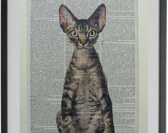 12H x16W Multicolor Caroline's Treasures CK5110PW1216 Devon Rex Cat Love Canvas Fabric Decorative Pillow 12H x16W Multicolor Caroline's Treasures CK5110PW1216 Devon Rex Cat Love Canvas Fabric Decorative Pillow