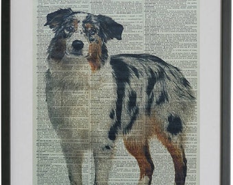 australian shepherd ring