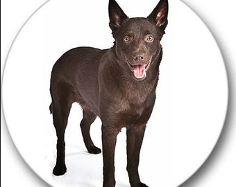 Kelpie Unendlich Sticker*I901*8 Aufkleber Australian Kelpie