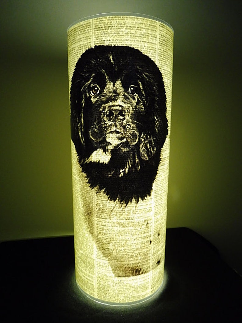 eco upcycled lanterns Newfoundland Dog Paper Lantern No.863 book club gifts 1st wedding anniversary gifts vet gifts housewarming gifts