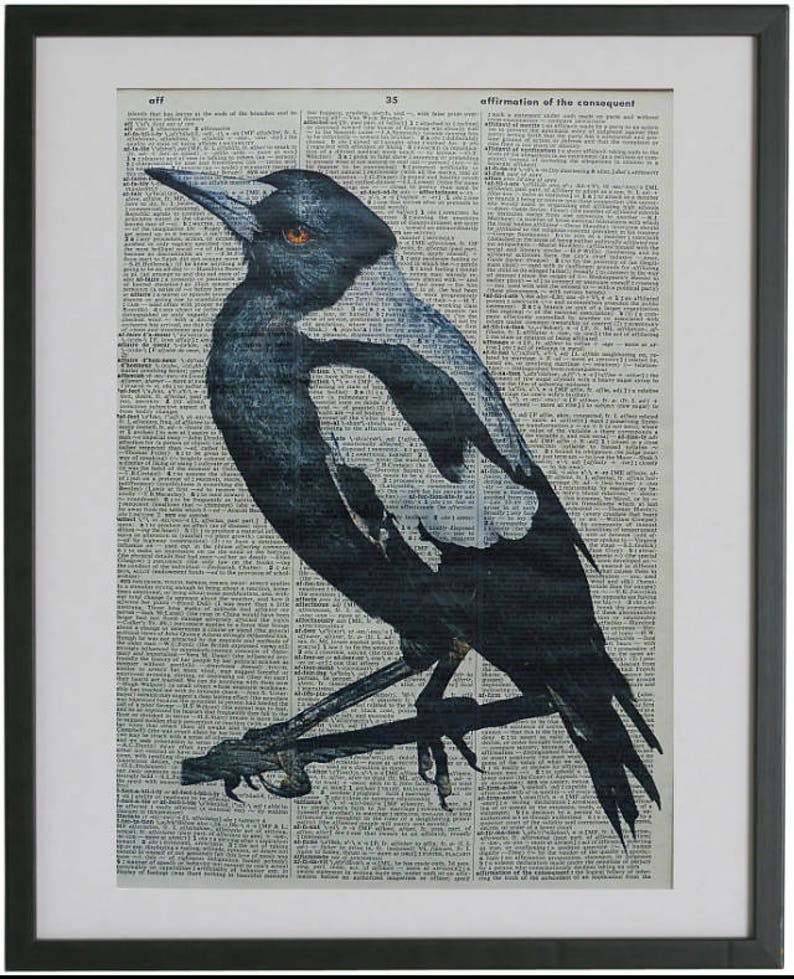 Elster Vogel Wand Druck Nr. 270 Ornithologe Geschenke - Etsy.de