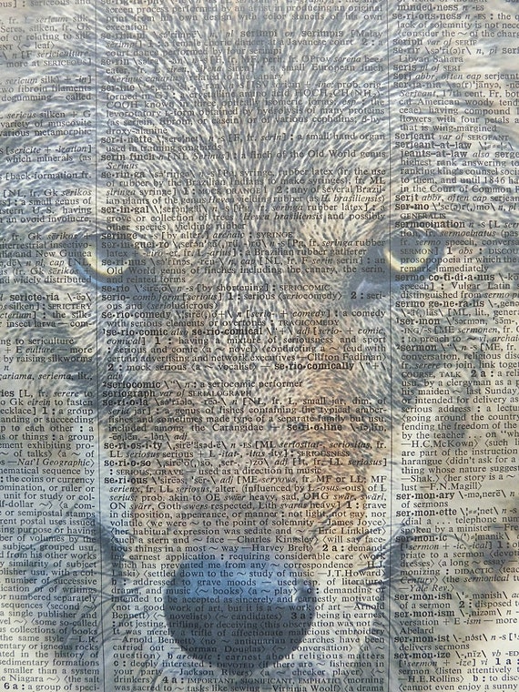 Throw Me to the Wolves Quote Wall Art Wolf Prints - Etsy Throw Me to the Wolves Quote Wall Art Wolf Prints - Etsy