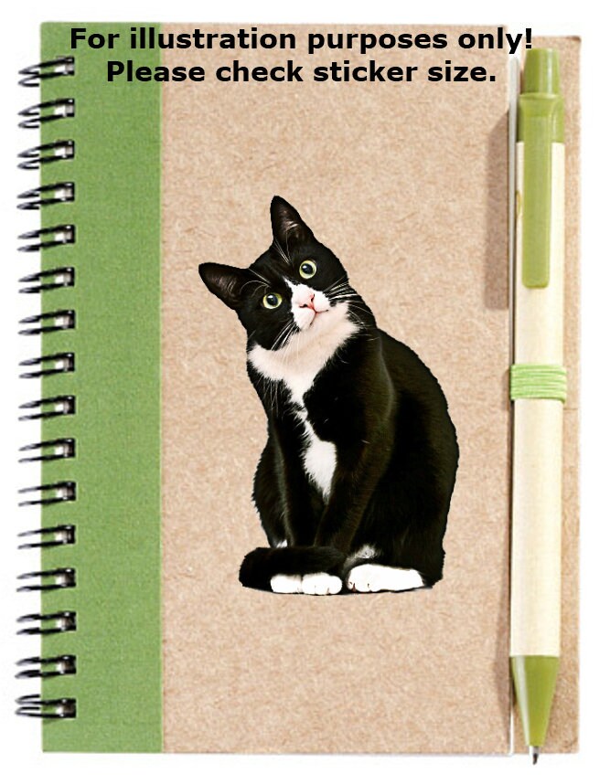 Black and White Tuxedo Cat Stickers No.354 Vet Reminder Etsy Canada