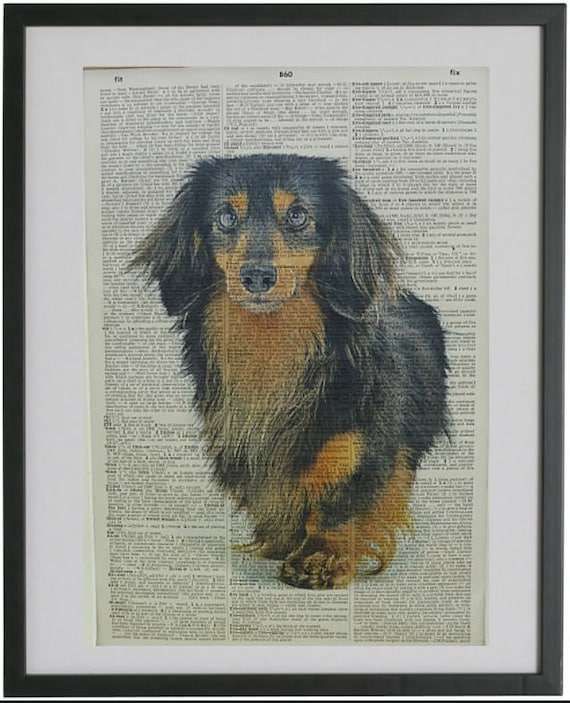Dachshund Long Hair Print No 499 Dachshund Decal Dachshund Etsy