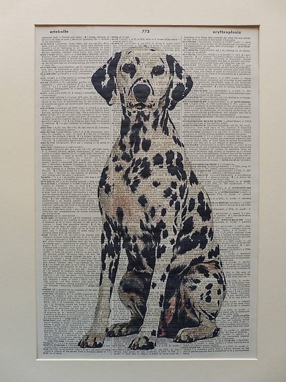Dalmatian dressed as human Print dictionary page art print vintage gift book F32