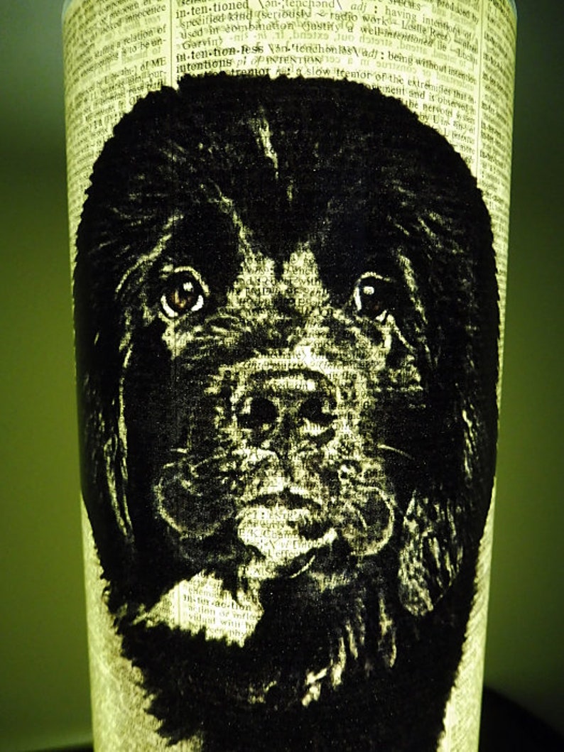 eco upcycled lanterns Newfoundland Dog Paper Lantern No.863 book club gifts 1st wedding anniversary gifts vet gifts housewarming gifts