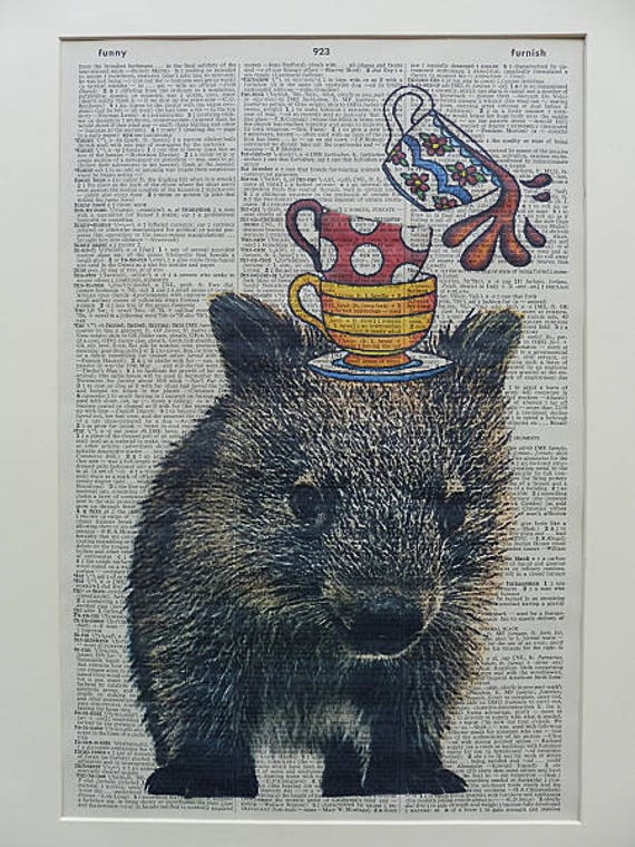 Wombat Print Funny Wombat Print Australian Animals - Etsy Wombat Print Funny Wombat Print Australian Animals - Etsy