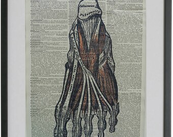 Anatomy Foot Print No.482, anatomy foot poster, anatomy art, medical poster, medical gift, medical school, dictionary art, anatomy poster