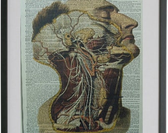 Anatomy Print No.236, anatomy art, anatomy decor, anatomy poster, medical decal, medical gift, medical poster