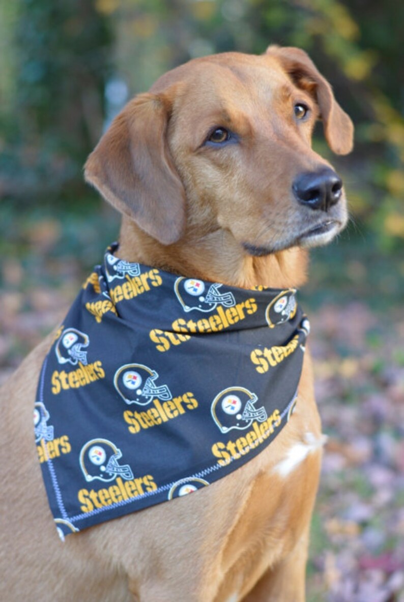 X-Large Pittsburgh Steelers Dog Bandana