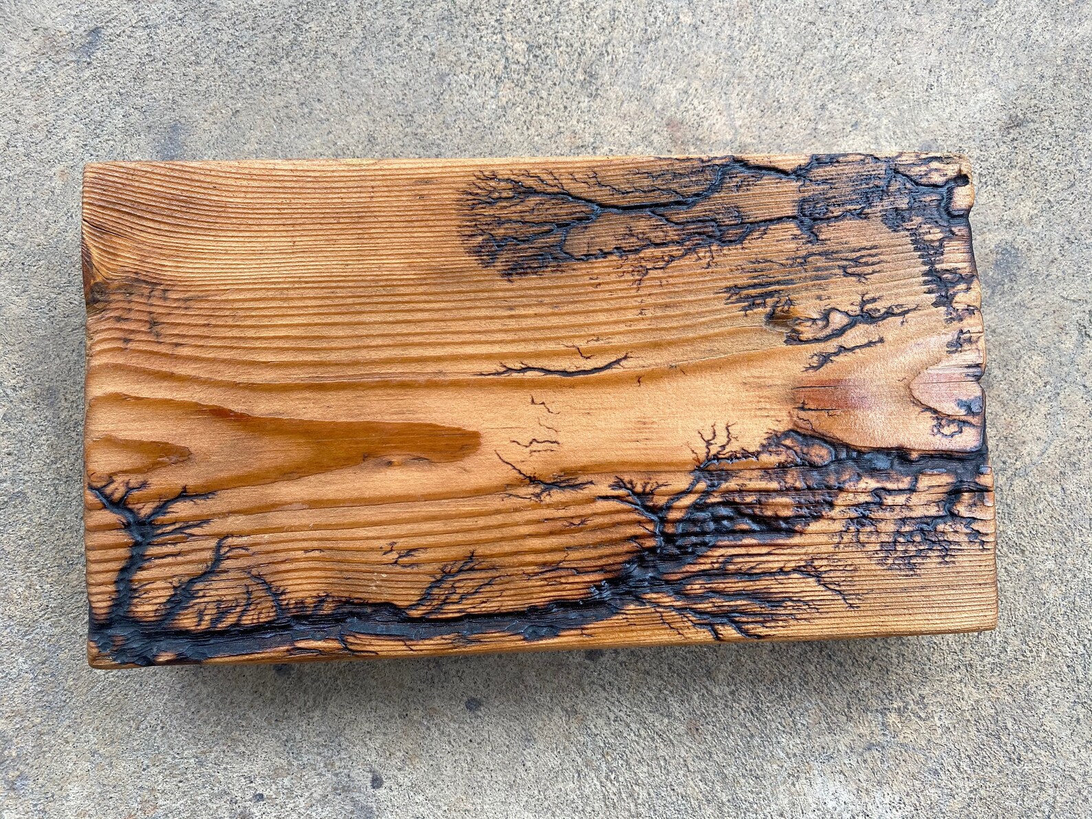 Lichtenberg Electrocuted Wood Fractile Pine Wall Art Etsy
