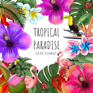 Digital Floral Clipart, Tropical Clipart, Paradise Beach Clipart, Hawaii Clipart, Flamingo Clipart, Tropical flowers clipart, jungle clipart