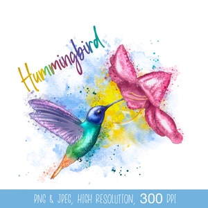 Sublimación de colibrí, pegatina de colibrí, pegatina de pájaro tropical, colibrí de acuarela, calcomanía de colibrí, pegatina PNG, tropical