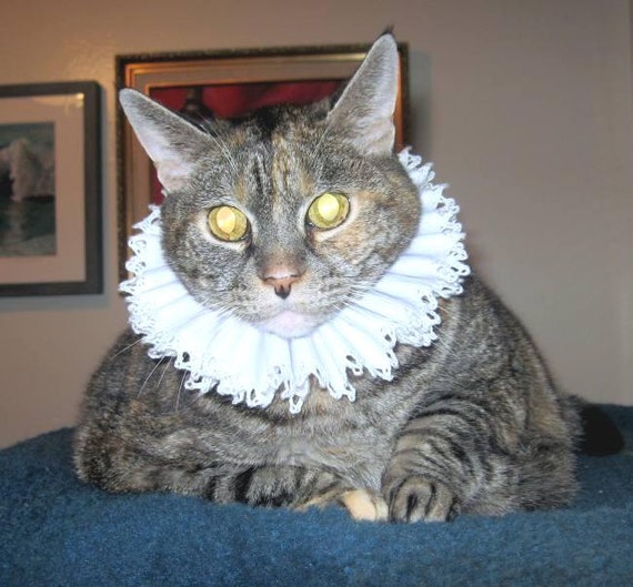 Cat neck ruff Clearance