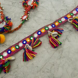 Multicoloured Shell Trim, Sequin Trim, Embroidered Trim, Belt Trim ...