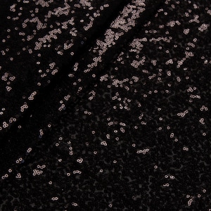 Puede incluir: Tela negra con un patrón disperso de pequeñas lentejuelas plateadas.