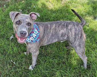 Dog Scarf - reversible & medium size