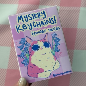 May include: A rectangular keychain package with the text "MYSTERY KEYCHAINS!" and "Flower series." The package features a cartoon cat with blue eyes and pink and white fur, surrounded by blue flowers. The background is a pink and white checkered pattern.