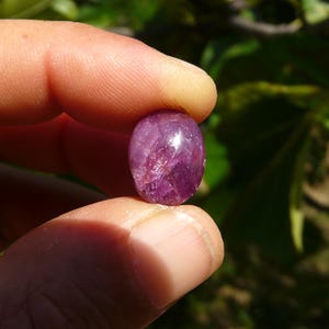 Pietra preziosa naturale Rubino Stella tenuto in mano su sfondo verde alla luce del sole.