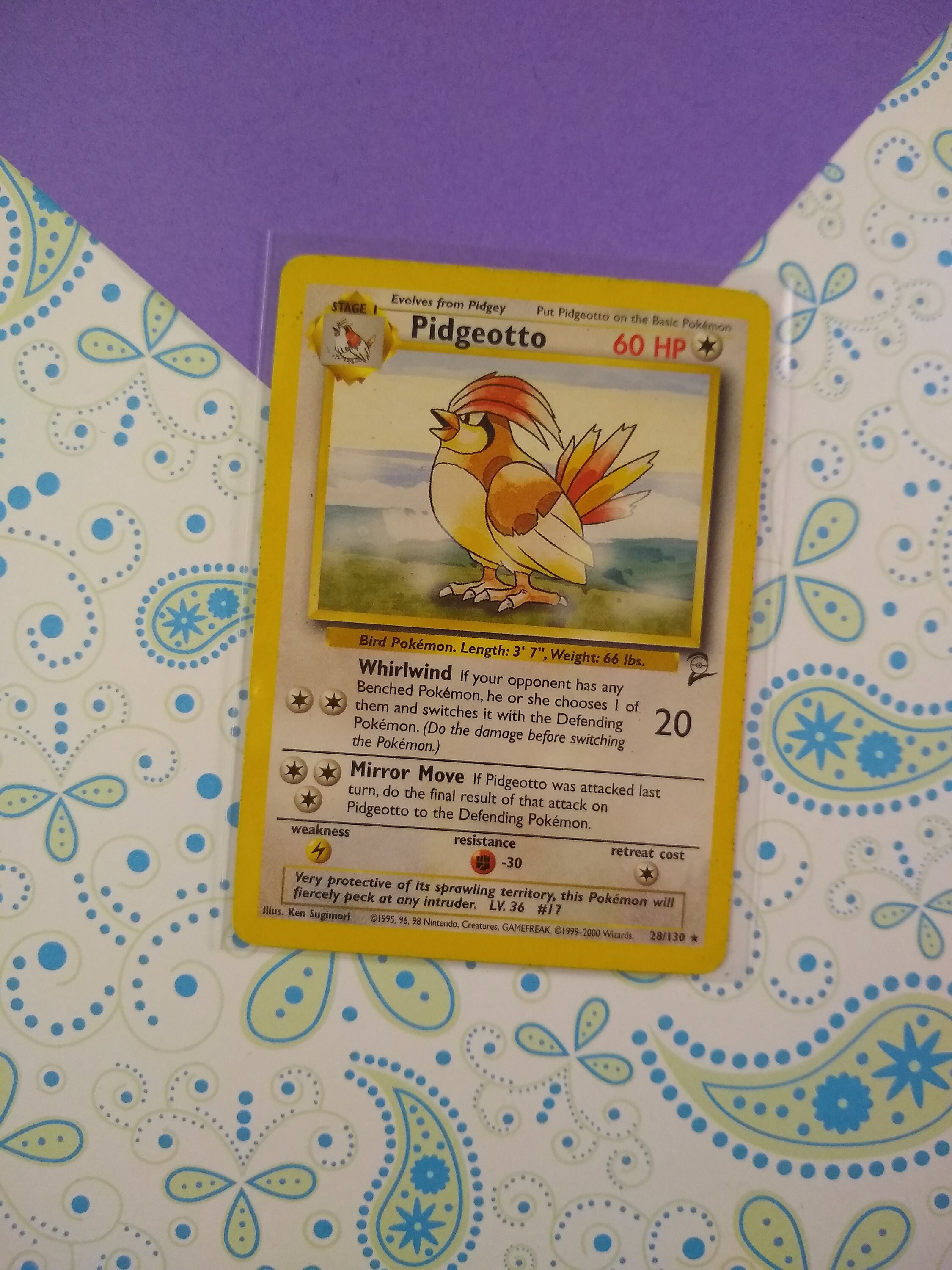 Vintage Rare Pidgeotto Base Set 2 Non Holo Pokemon Card Etsy
