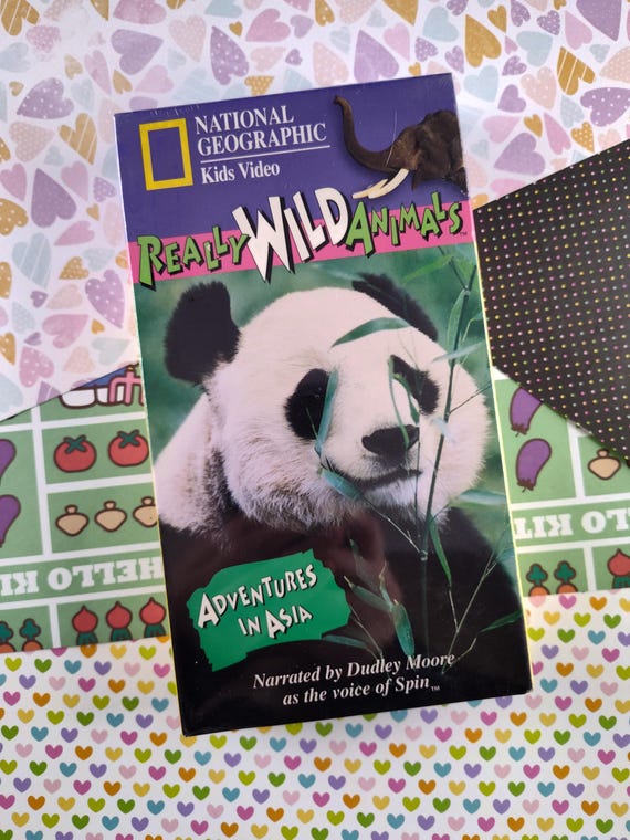 専用です☆当時物USAヴィンテージカード ベビー③⑩＆フラワー①＆アニマル⑧⑨ Vintage 1994 National Geographic Kids Video: Really Wild Animals