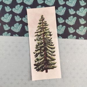 Peut inclure: Un papier rectangulaire avec une illustration dessinée à la main d'un conifère vert et marron. L'arbre est centré sur le papier. Le fond est un papier bleu clair avec des étoiles et un papier bleu foncé avec des papillons turquoise.