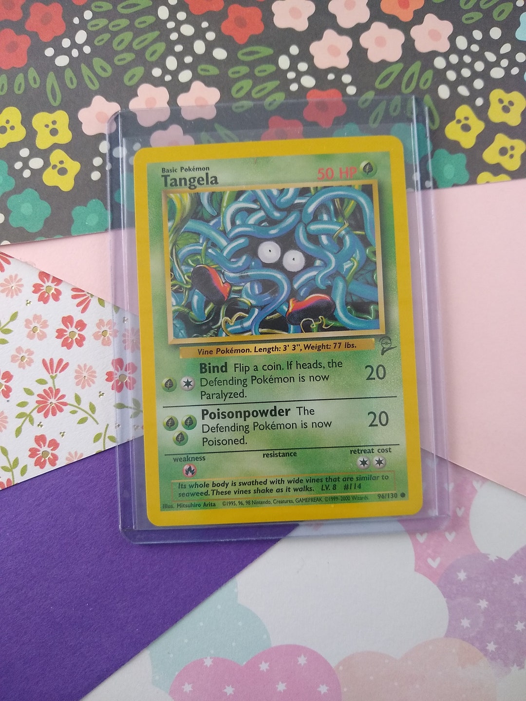 pokemon card tepig Tepig (BW07) [Black & White: Black Star Promos] main image 0