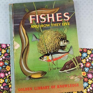 Vintage 1960 Fishes and How They Live Golden Library of Knowledge Hardcover