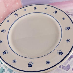 Puede incluir: Plato de cerámica blanco con un diseño floral azul. El plato tiene un borde azul y está decorado con pequeños grupos de flores azules y flores individuales alrededor del borde. Un diseño clásico para servir alimentos.
