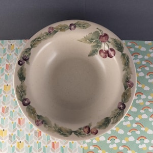 May include: A beige ceramic bowl with a green and brown cherry design around the rim.