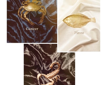 Water Sign Zodiac Prints